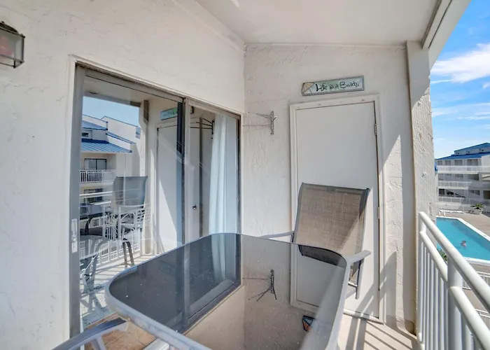 Apartment Sugar 356 By Collection