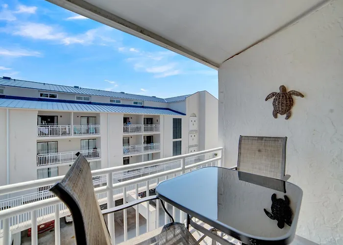 Apartment Sugar 356 By Collection